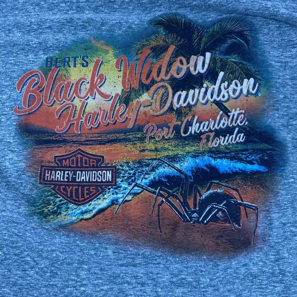 Harley-Davidson Shirt Womens Large Gray Together We Ride Black Widow Florida Tee - Image 2