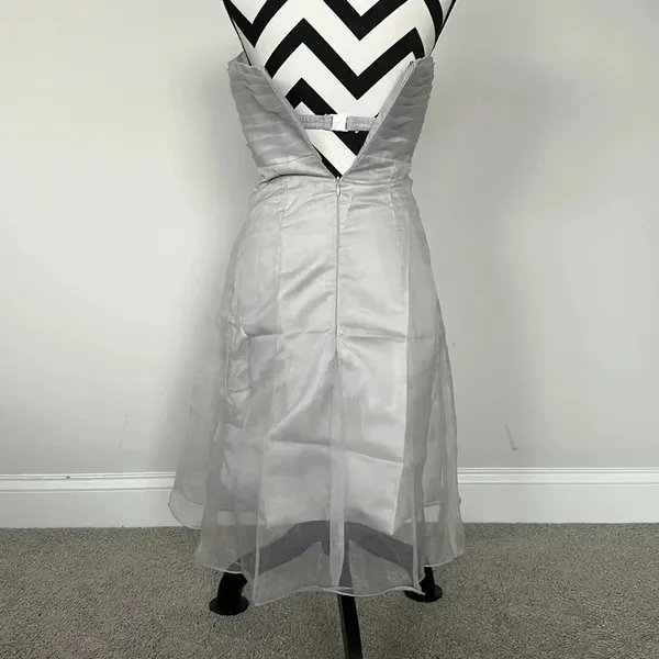 Source Unknown Silver Chiffon Mini Party‎ Dress - Image 4
