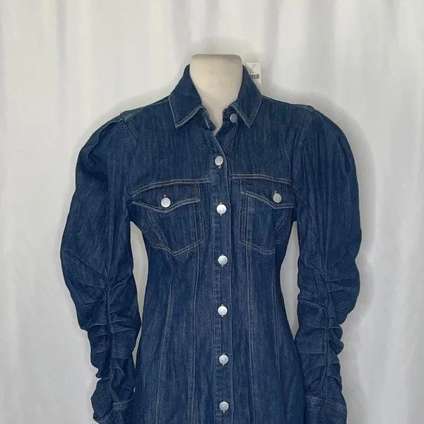 NWT! Anthropologie PILCRO Long-Sleeve Button-Front Seamed Denim Mini Dress Small - Image 3