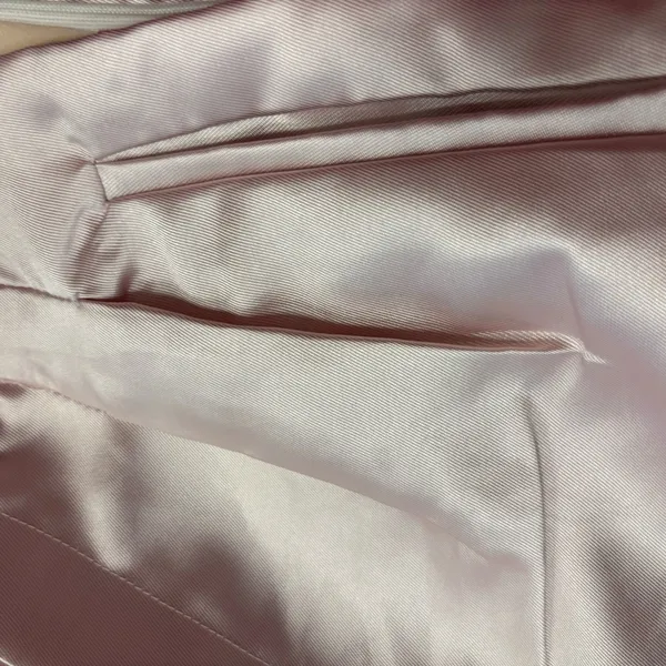 Banana Republic Pale Pink Satin High Waisted Pleated Shorts with Pockets and Side Zipper - Image 7