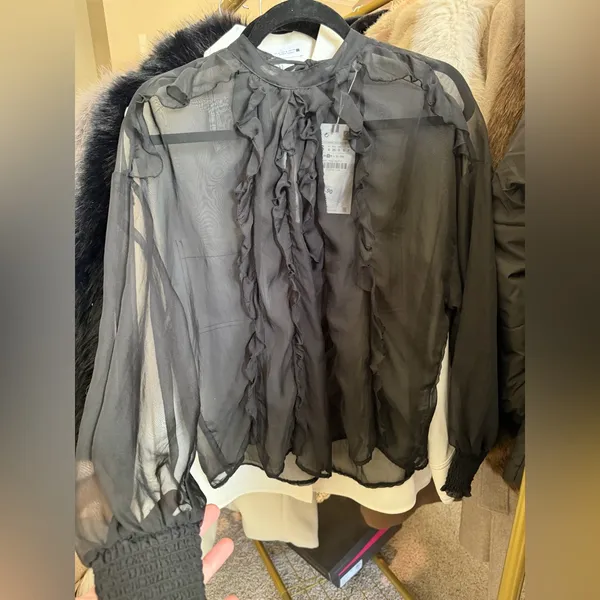 Zara NWT black ruffle long sleeve sheer mesh blouse - Image 2