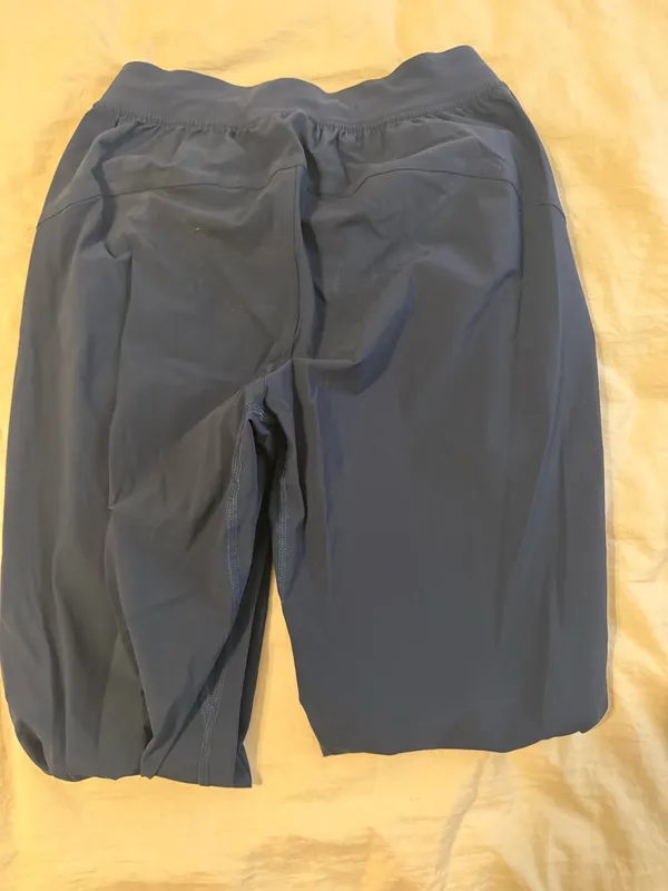 Lululemon Joggers - Image 3