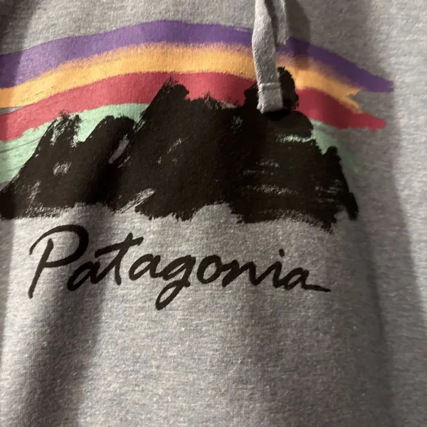 Patagonia Free Hand Fitz Roy Ahnya Hoodie Womens Large Blue Pullover - Image 4