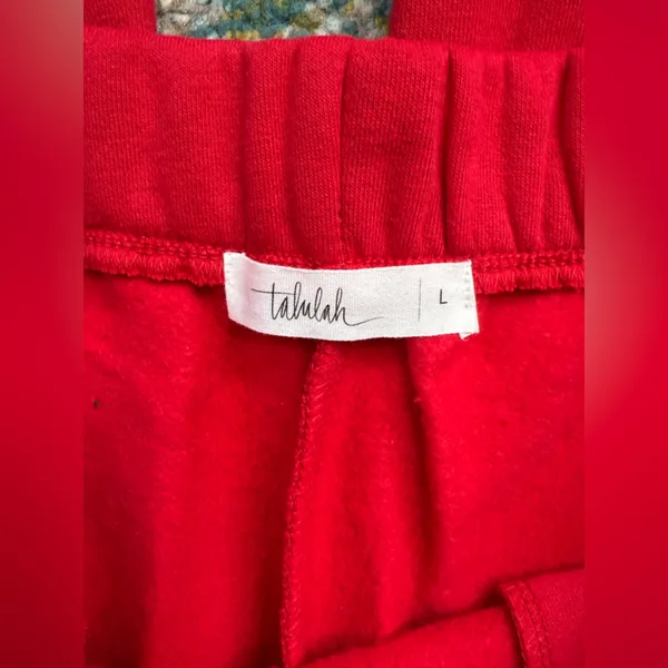 NWOT Talulah red flare seamed sweatpants, size large - Image 5