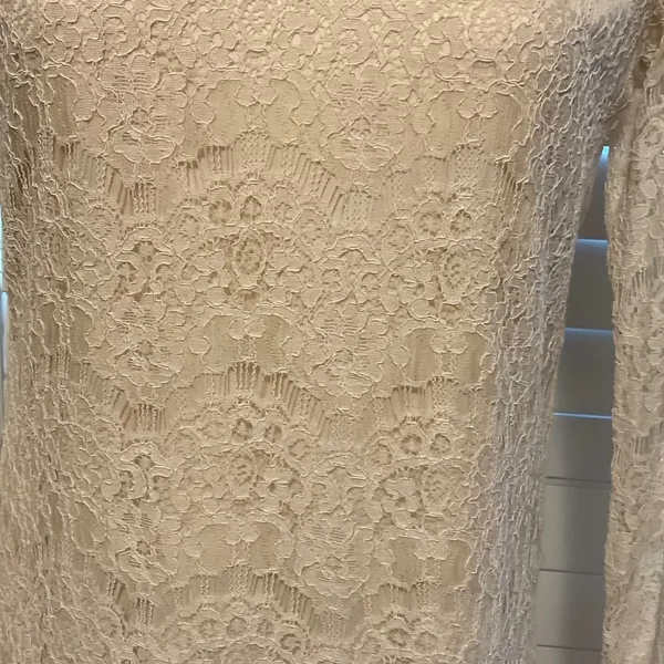 Forever 21 Cream Lace Long Sleeve Dress - Image 3