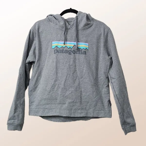 Patagonia -859 Pastel Logo Uprisal‎ Hoddie - grey - Medium - Image 2