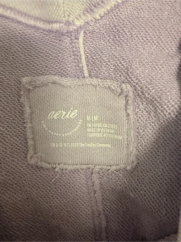 Aerie Oversized V Neck French Terry Sweatshirt - Image 4