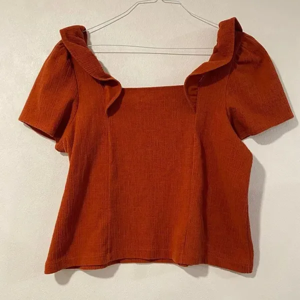 Madewell Rust Orange Textured Ruffle Sleeve Blouse Size Large - Image 3