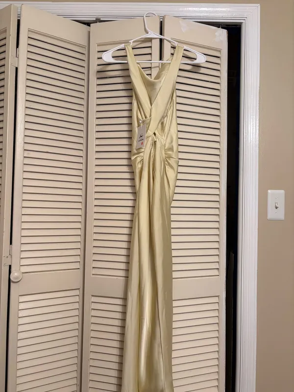 Amazon Dress - Image 2