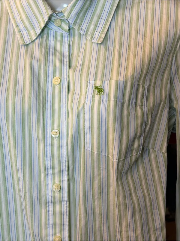 Vintage Ezra Fitch by Abercrombie & Fitch Y2K Button-Up 💚🩵 - Image 12