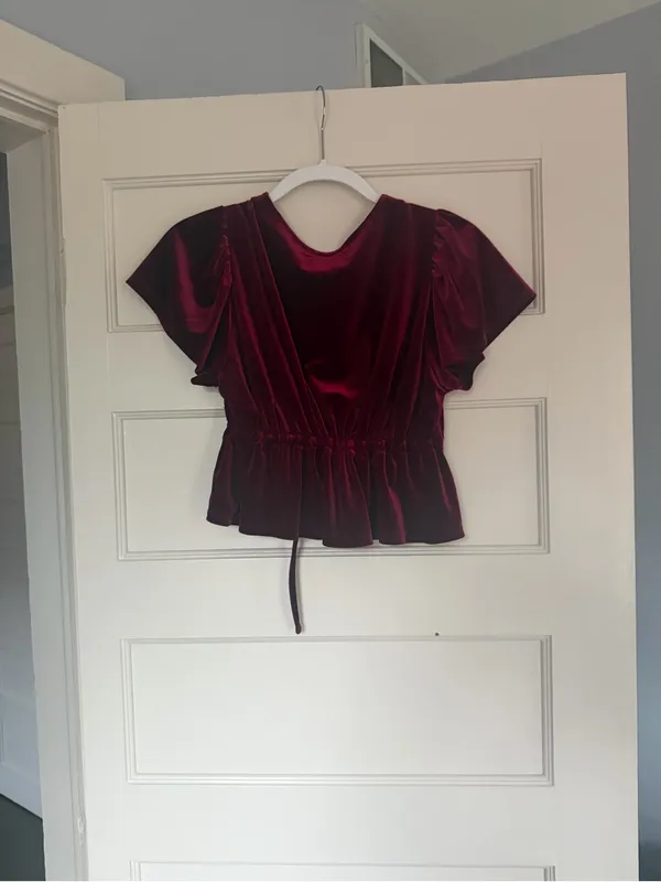 New Urban Outfitters Velvet Top - Image 3