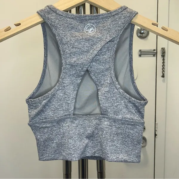Celestial Bodiez Cropped High Neck Bra Top in Gray with a Cut Out Back - Image 4