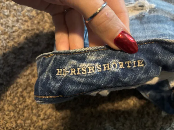 American Eagle Shorts - Image 3