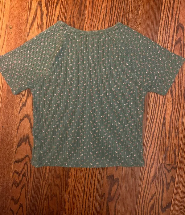 American Eagle Outfitters Ribbed Floral Baby Tee - Image 3