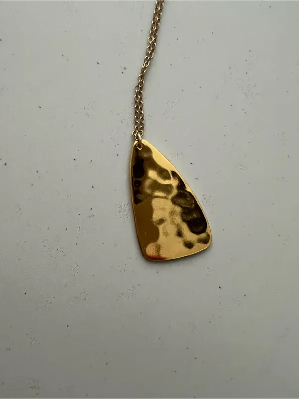 Gorjana Gold long hammered Necklace - Image 4