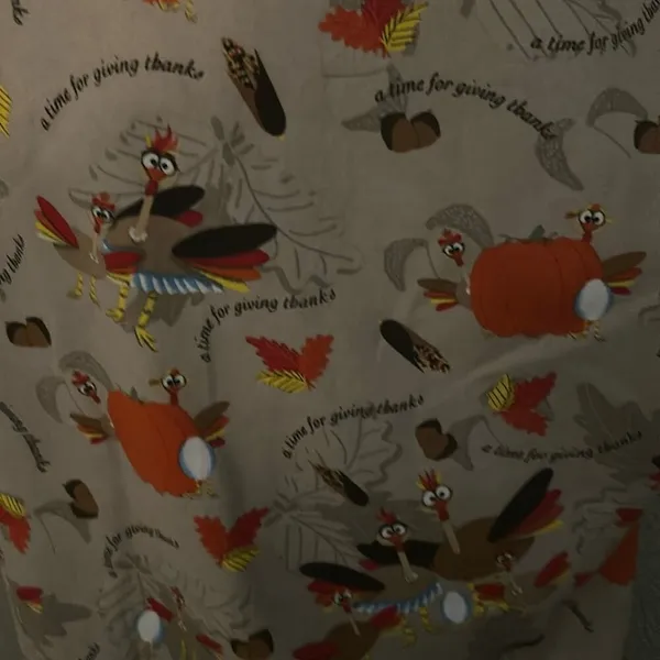 UA Uniform Advantage "A Time for Giving Thanks" Scrubs Medical Peds Pediatrician - Image 5