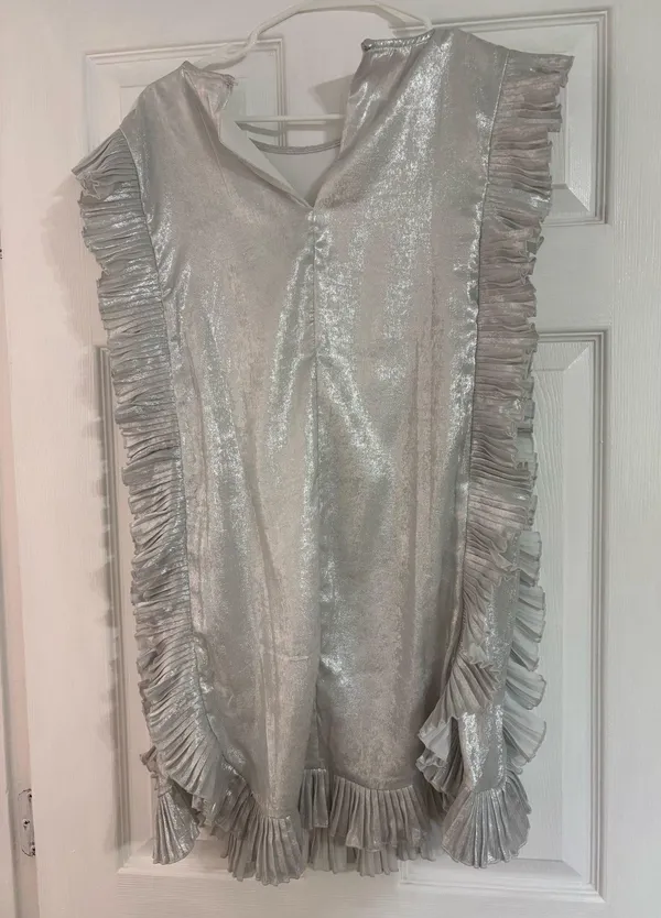 TCEC silver dress - Image 2