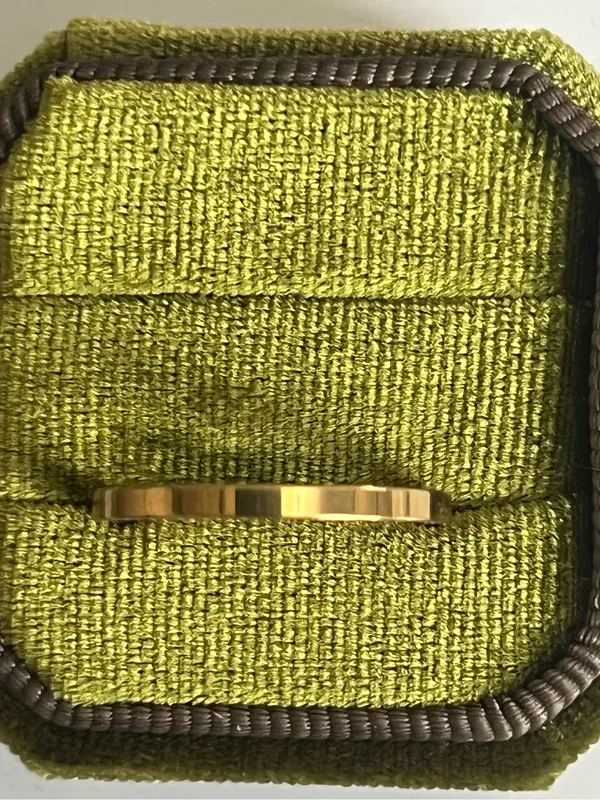 Classic/Sleek Unisex Titanium Steel Gold Polished Finish 2mm Band Size 9 - Image 2