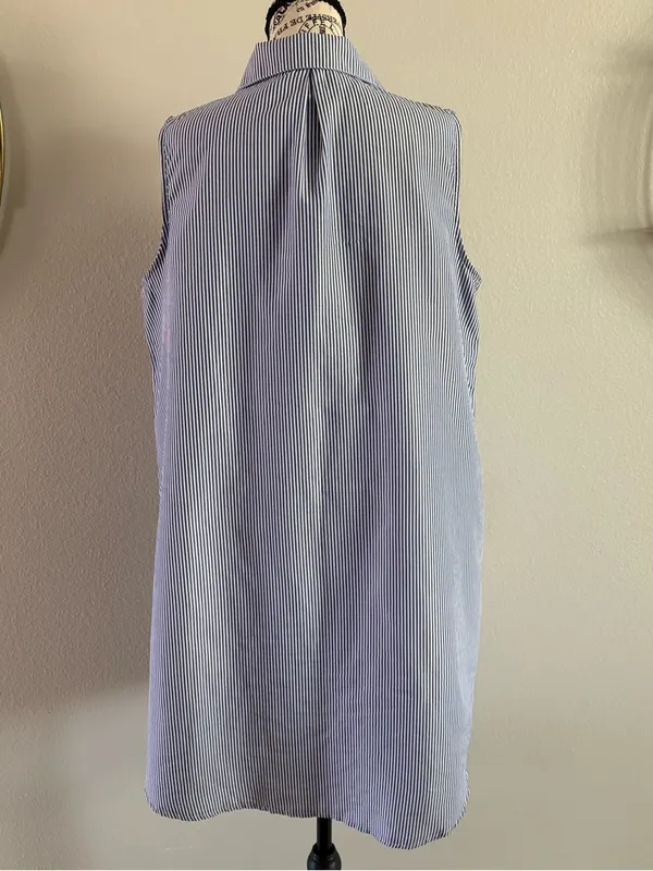 Sleeveless Blue Stripe Shirt Dress with Red Rose Embroidery - Image 4