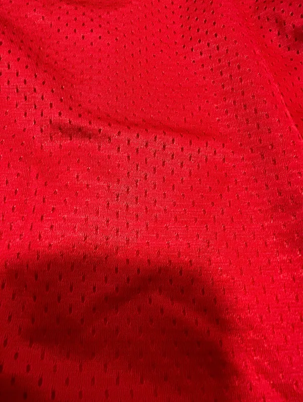 Alleson Athletic Mesh Tech Basketball Shorts Red - Image 2
