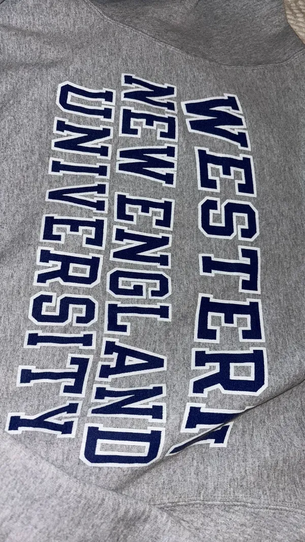 Champion Hoodie - Image 6