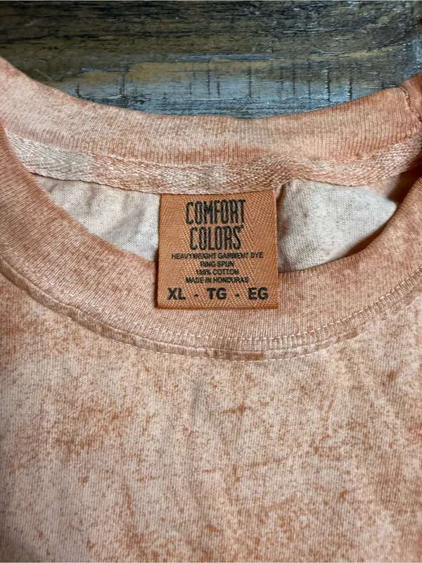 Comfort Colors Orange Color Blast Tee with Pumpkin Trio Graphic - Image 2