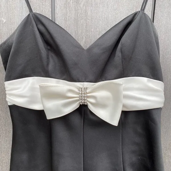 Vintage‎ Cinderella Divine Dress - Image 2