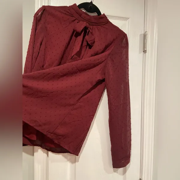 NWT Aconiya Size M Burgundy Swiss Dot Chiffon Lined High Neck Bow Lined Top - Image 8