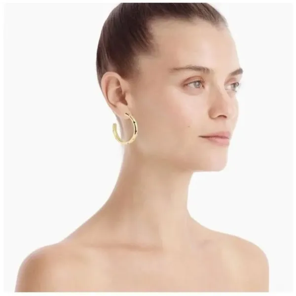 Alison Lou x J.Crew Crystal Hoop Earrings - Image 7