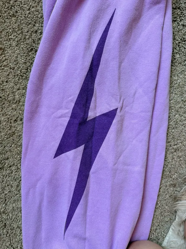 Aviator Nation Sweatpants - Image 3