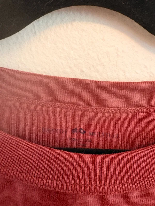 Brandy Melville Rust Short Sleeve Crewneck Crop Top - Image 2