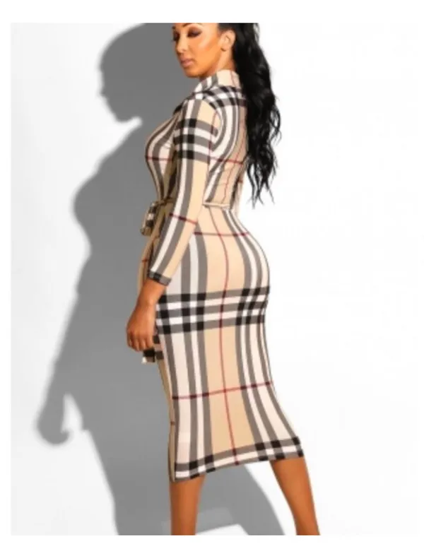 Size Large plaid dress New Multiple - Image 2