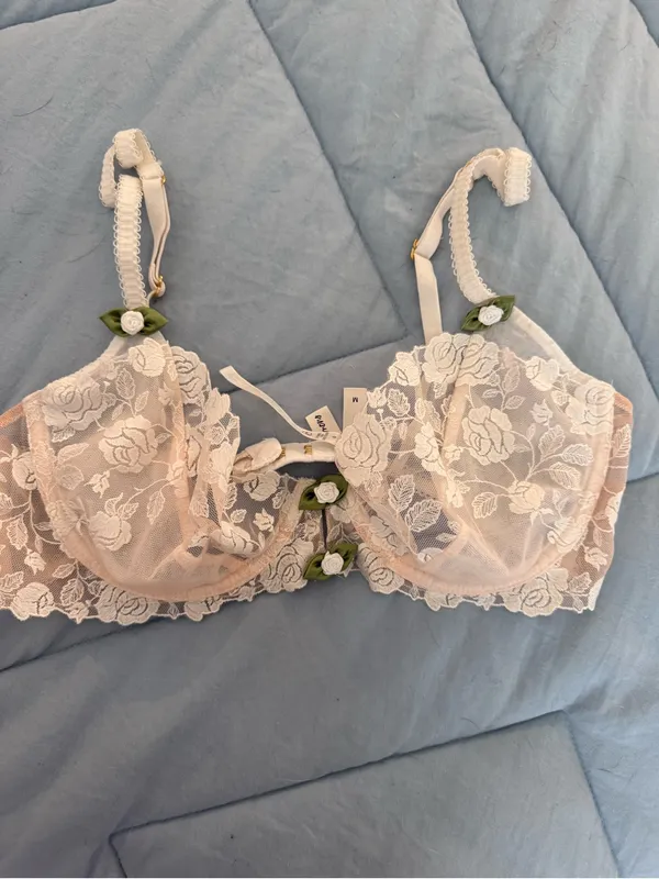 For Love And Lemons Blush Lace Underwire Bra with Green Rosebud Trim - Image 2