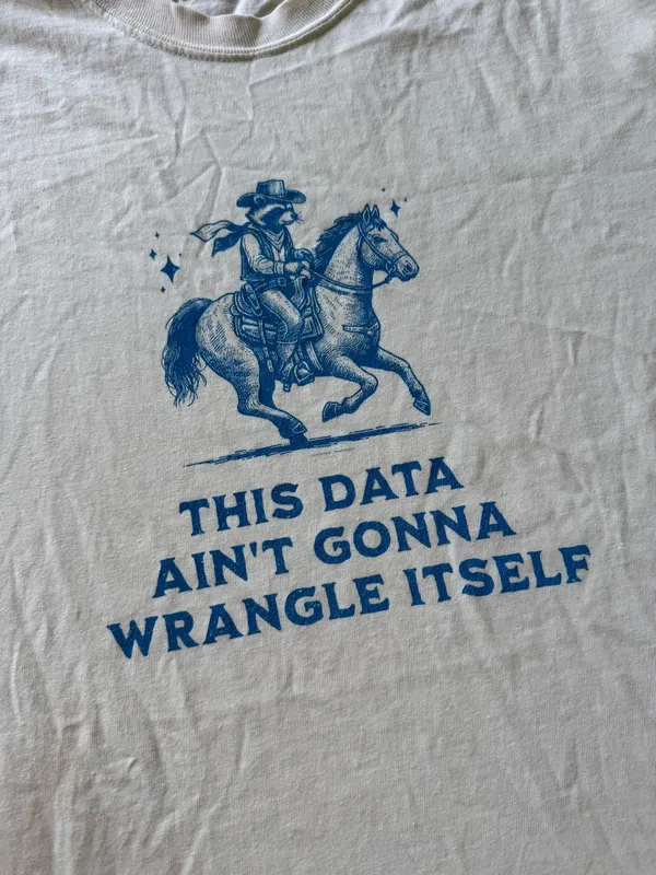 Data Wrangler Cotton Comfort Colors Tee - Image 5