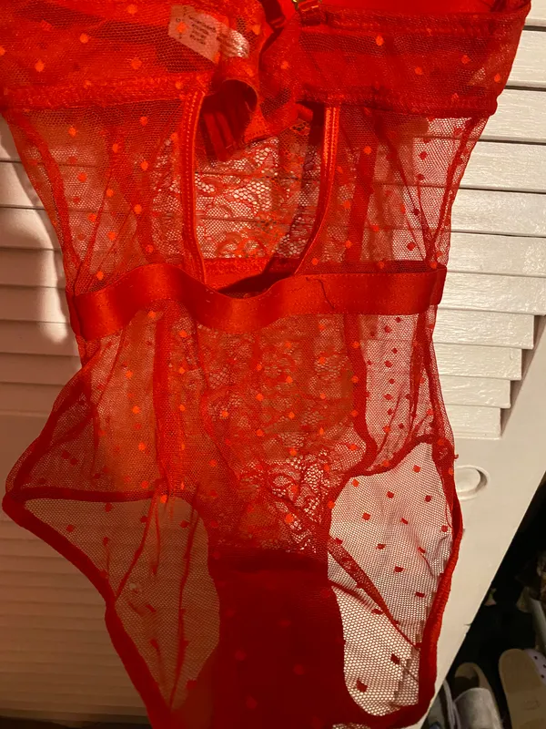 TJ Maxx teddy lingerie - Image 7