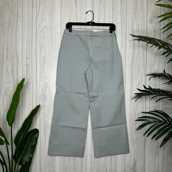 NEW LYSSE Florist Wide Leg Crop Pant in Morning Dew size M Medium 2991 NWT - Image 3