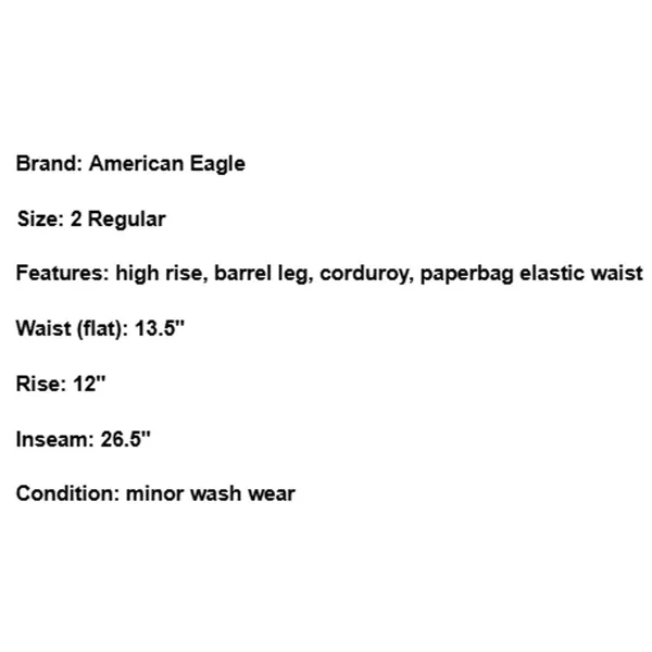 American Eagle Corduroy Pants Barrel Leg Paperbag Waist High Rise Baggy Cream 2 - Image 8