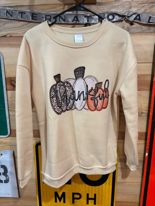 “Thankful” Cozy Crewneck - Image 2