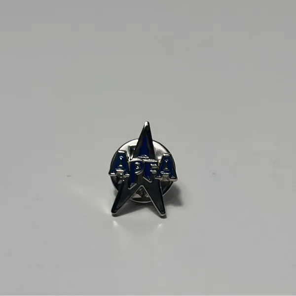 American Airlines AA APFA Flight Attendant Union Standard Lapel Pin - Image 3