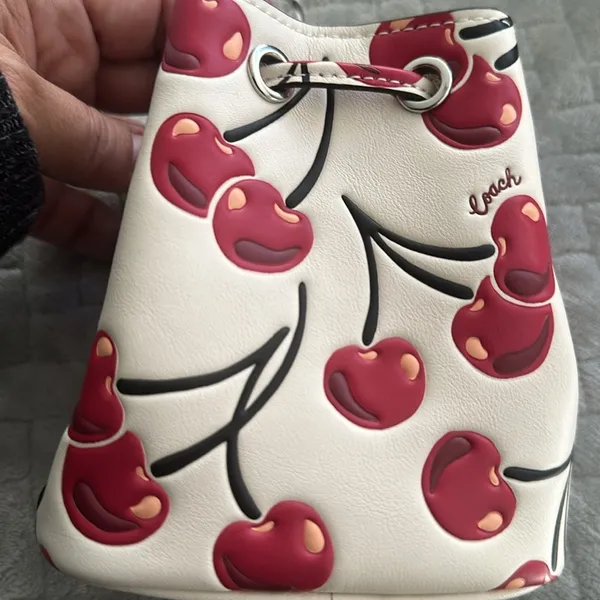 Coach Drawstring Wristlet With Cherry Print - Novelty Leather/Silver/Chalk Multi - Image 7