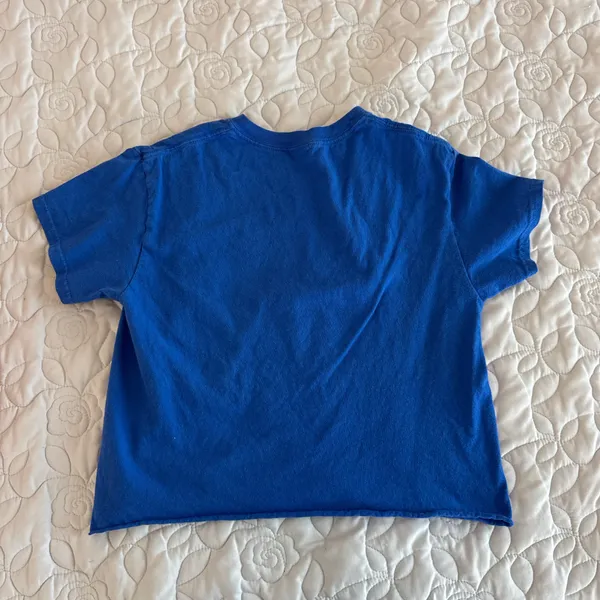 Gildan Hillsdale College Cropped Tee - Image 2