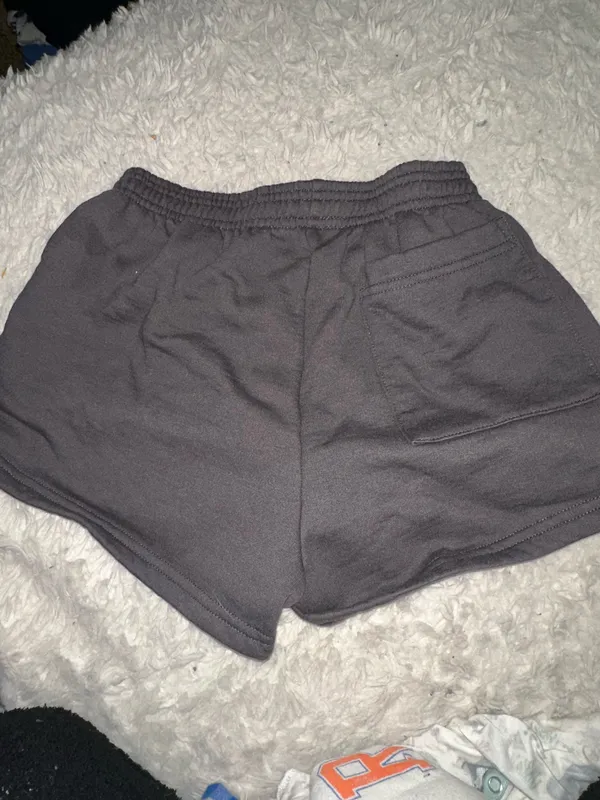 Los Angeles Apparel APHI (alpha phi) worn once grey sweat shorts with blue star and sorority logo. Very soft and cozy. Size small. - Image 2