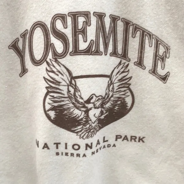 Princess Polly NWOT Yosemite oversized sweatshirt Size 10 - Image 5