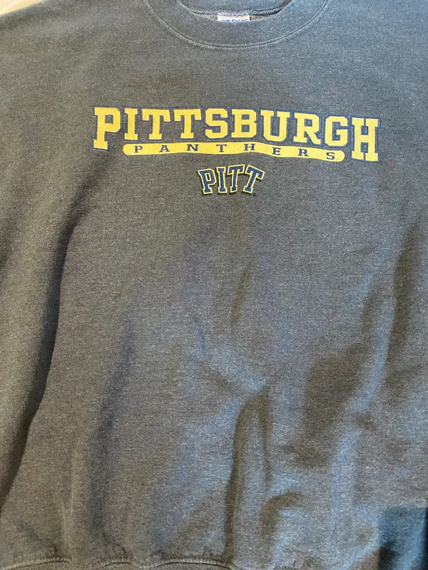Pittsburgh panthers gray crewneck Size M - Image 5
