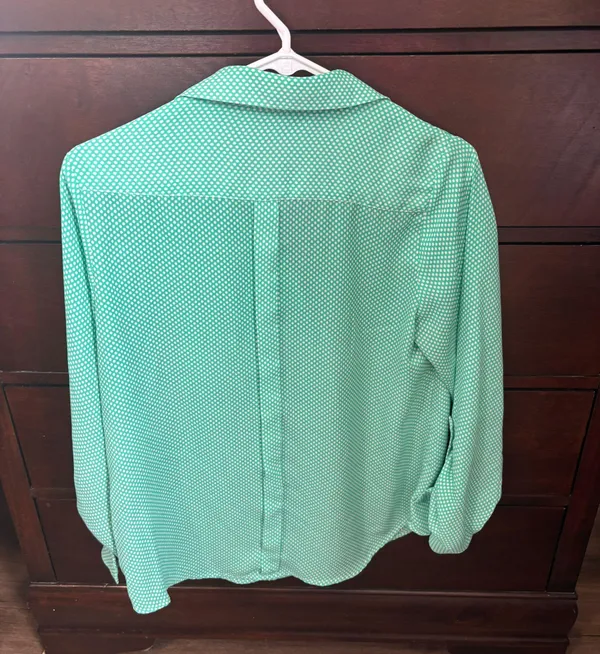 The Limited Blouse - Image 3