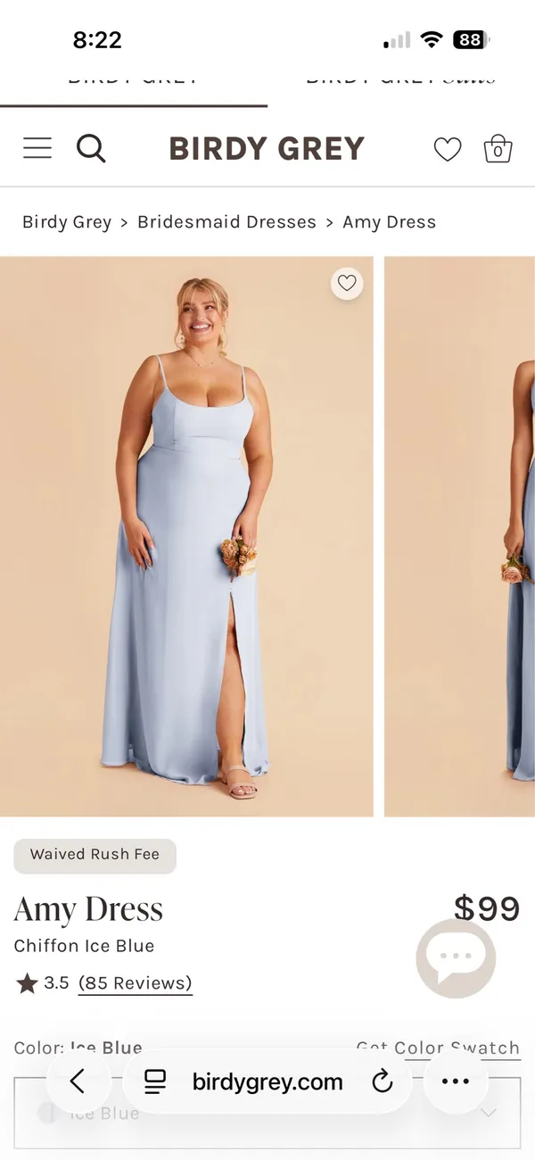 Birdy Grey Bridesmaid Dress Ice Blue - Image 2