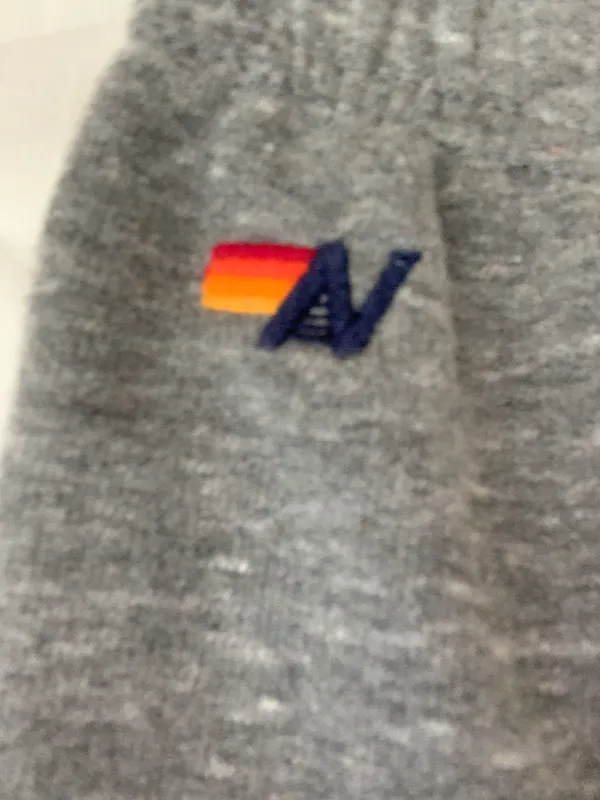 Aviator Nation 5-Stripe Sweatpants Heather Grey - Image 3