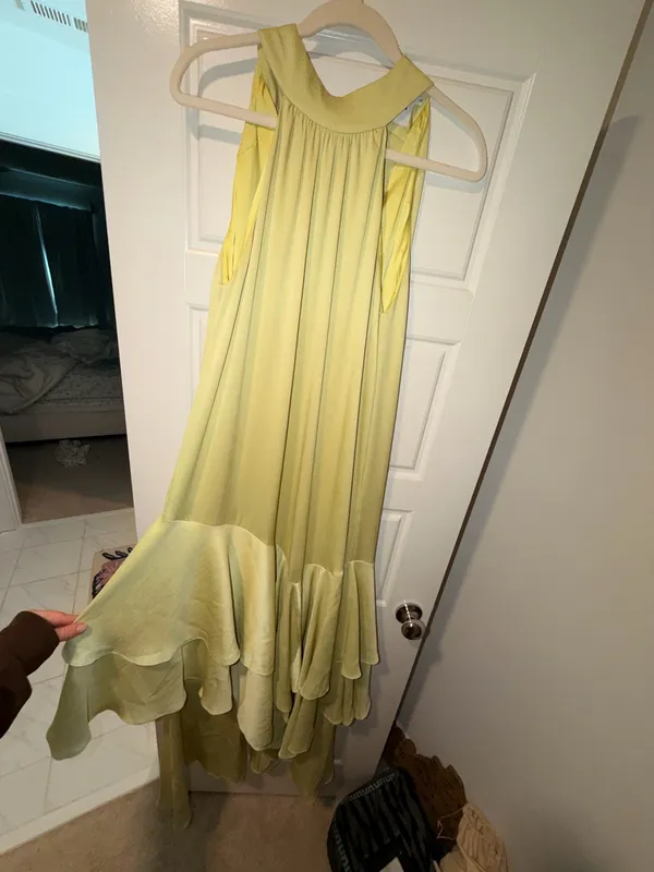 Elliatt Dress - Image 2