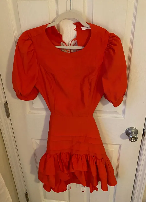 idem Ditto Ruffle Dress - Image 3