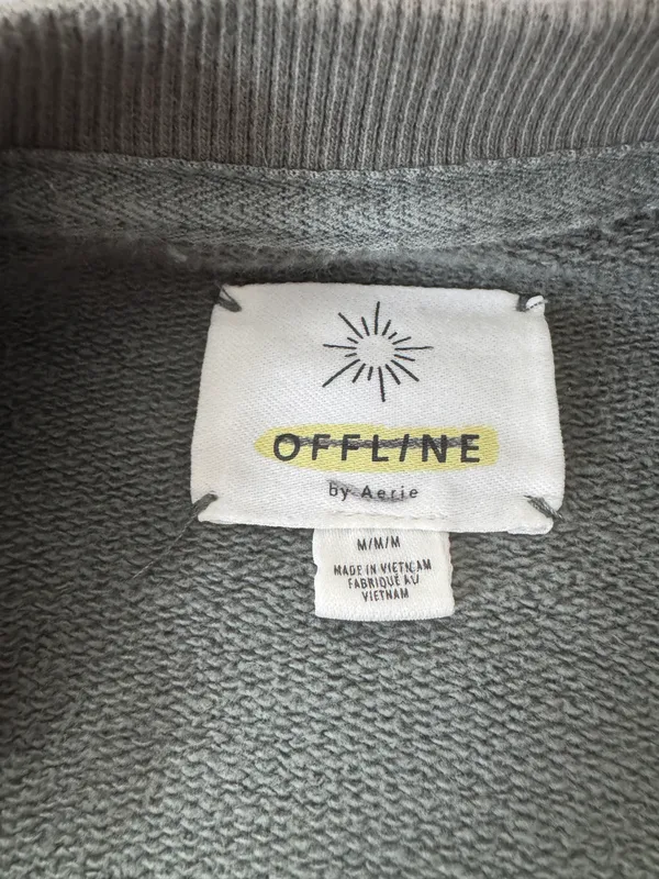 Aerie Sage, green, oversized, heavy duty crewneck - Image 3